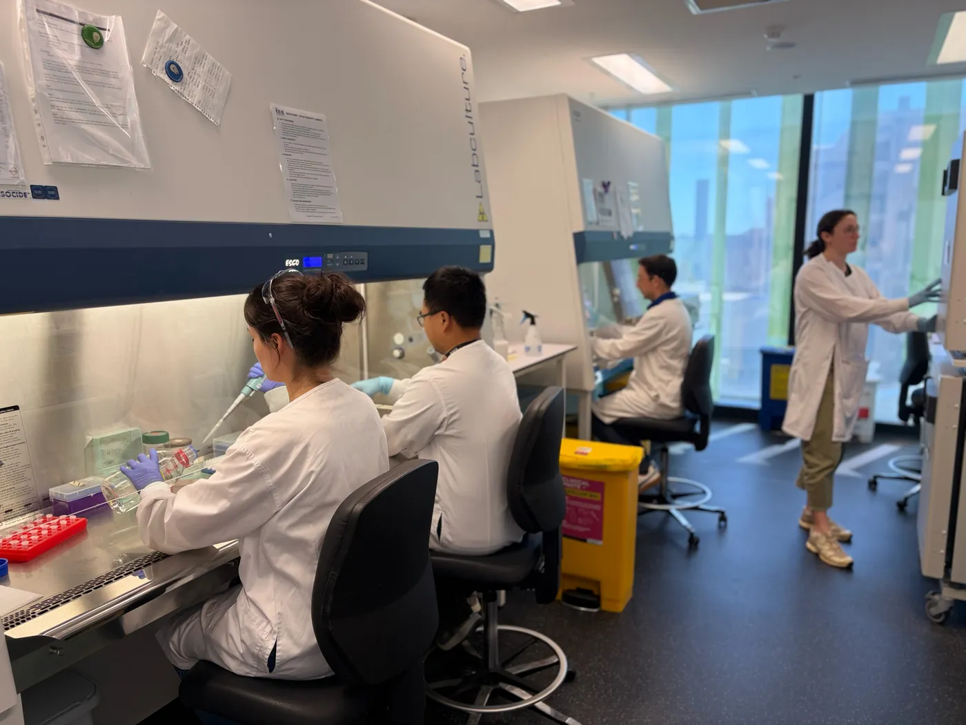 Researchers in laboratory coats work with scientific samples and equipment inside a modern medical research laboratory.