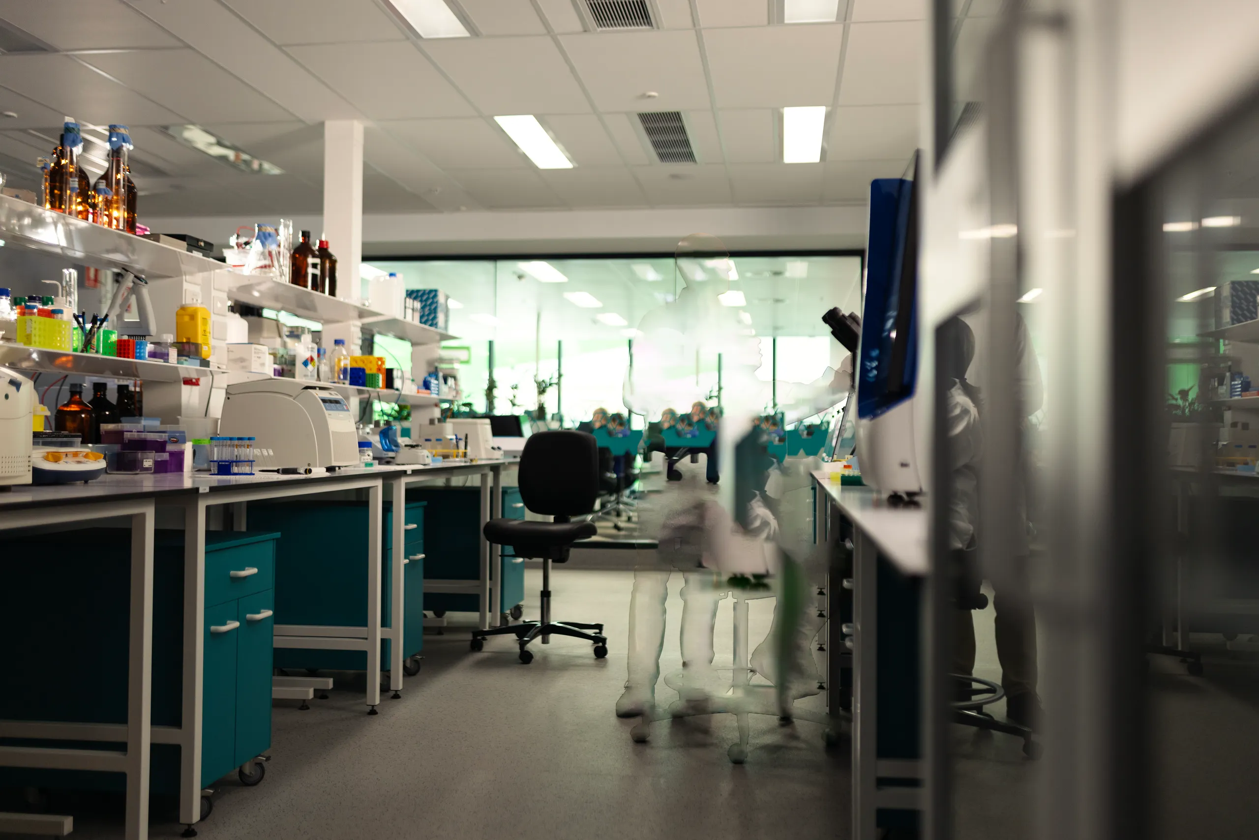 Two researchers in a lab focusing.