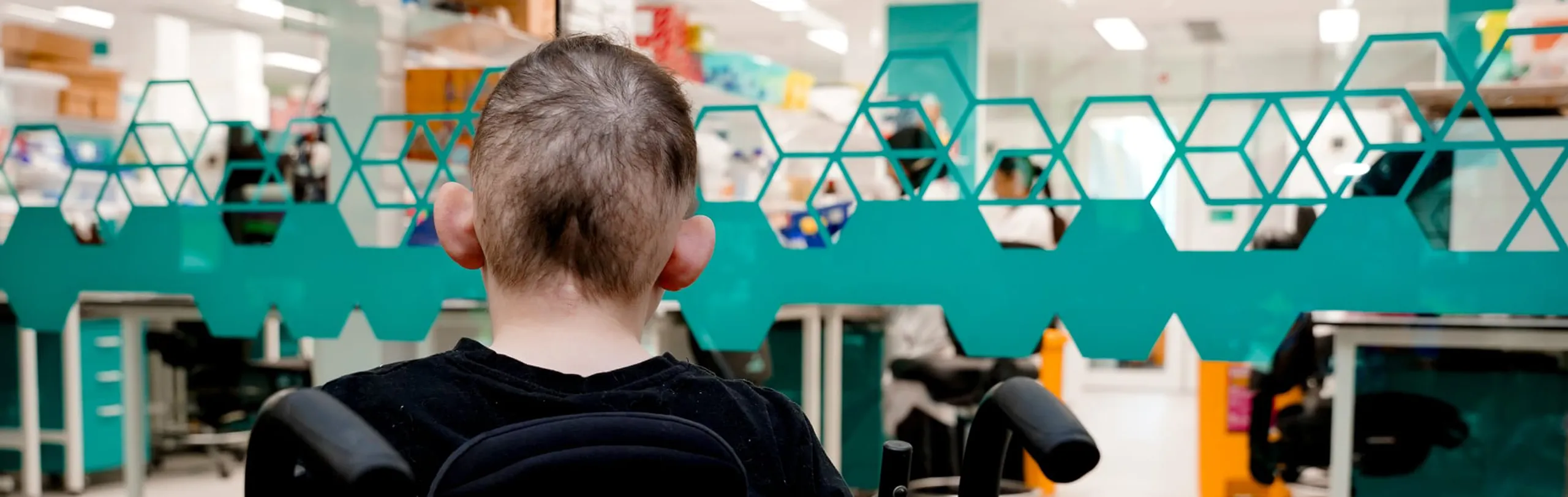 young boy in wheelchair looking into lab.