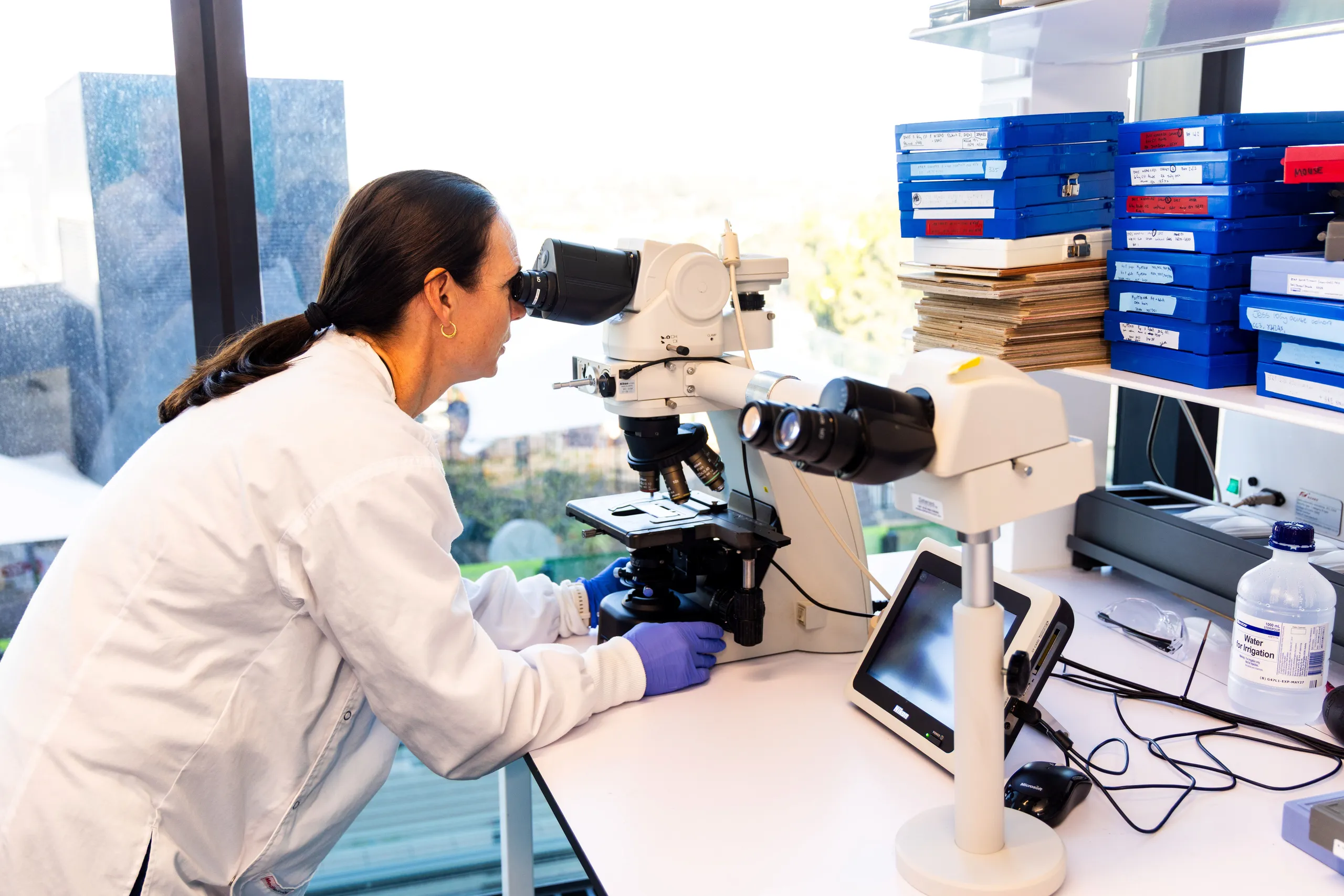 Researcher looking down a microscope 